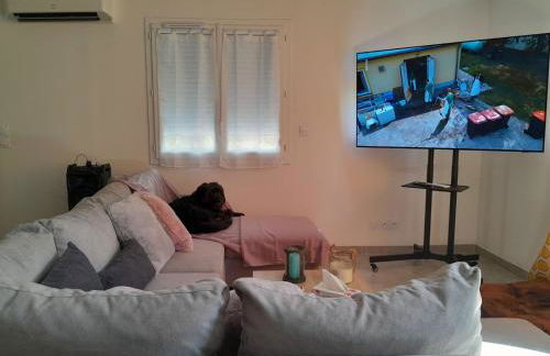 Villa au pied du Ventoux - Foto 10