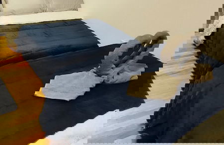 Cabanas Loft Paraíso - Foto 10