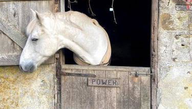 The Yard at Borough Farm - Foto 4