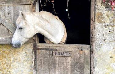 The Yard at Borough Farm - Foto 4