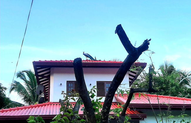 Udara Guest Yala - Photo 10