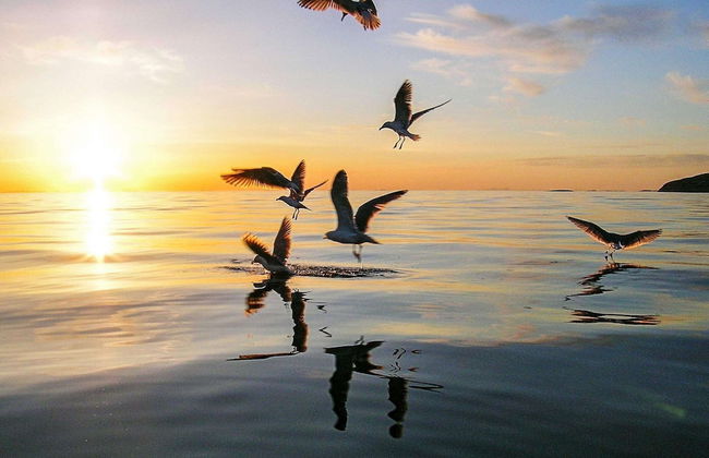 4 Person Holiday Home in Botnhamn - Foto 18