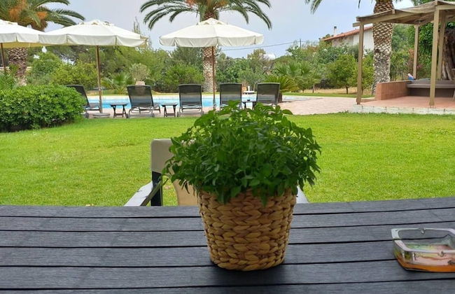 Kinetious Nisous in Kineta - Foto 5