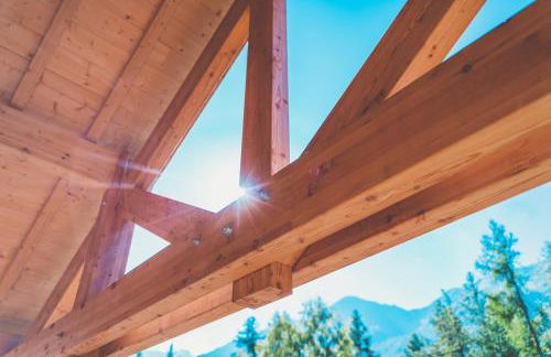 Ski et Détente Les Orres 1650 Animaux OK - Photo 11