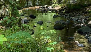 Au Temps Passé - Photo 5