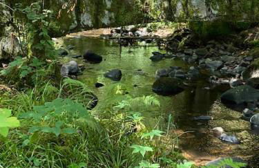 Au Temps Passé - Photo 5