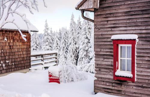 Ferienhäuser, Torfhaus Harz - Foto 23