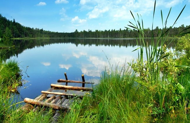 Przytulny Domek z Sauna , Jacuzzi i Basenem - Photo 33