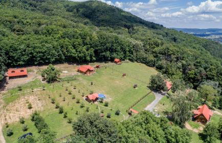 Grebengradska Medna Hiža - Foto 68