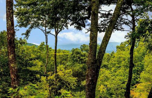 Sweet Refrain · Sweet Refrain in Pisgah Forest with VIEW - Foto 17