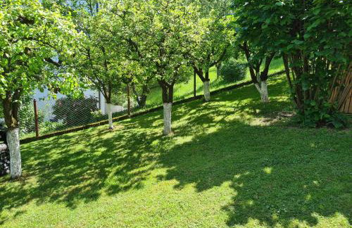 Happy Sparrow - Foto 44