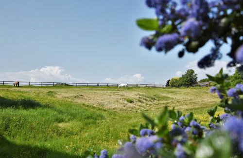 3 Bed in Richmond oc-90578 - Foto 48