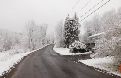 Catskill Mountain Retreat - Foto 28