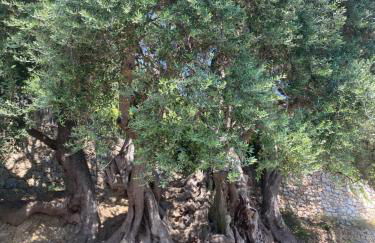 Dolce-Vita appart 3 étoiles, climatisé , 50M de la mer et aux portes de Menton ,parking gratuit - Foto 27