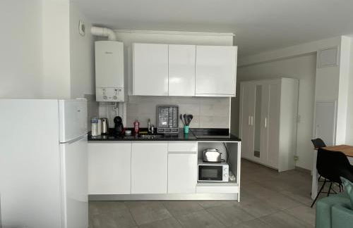 Residence 4T - 33 Avenue Gaston Chauvin - Foto 3