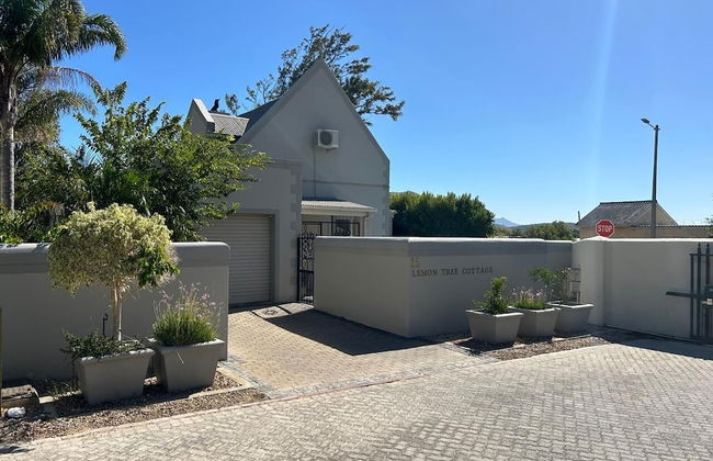 Lemon Tree Cottage - Photo 29