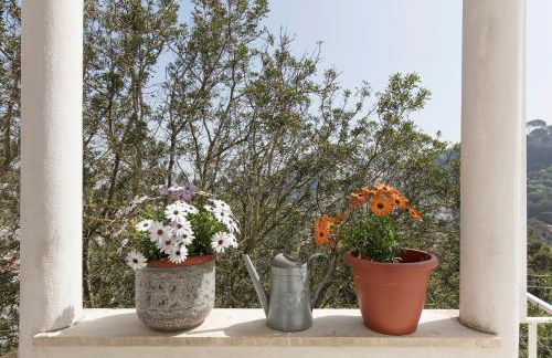 Casa Capaianca - Foto 43