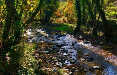 ALOJAMIENTO RURAL EL CASTAÑO - Foto 66