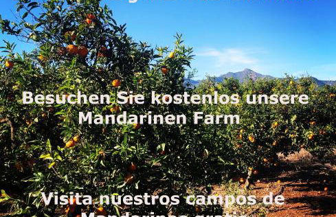 FeWo - Moncofa Apartment - Foto 2