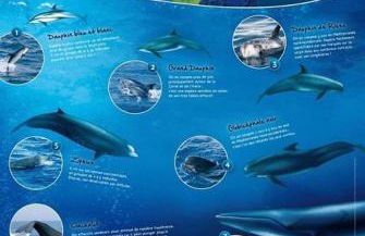 Villa Saint-Michel - Foto 52