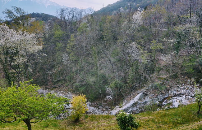 Raviscioni Albino - Foto 24