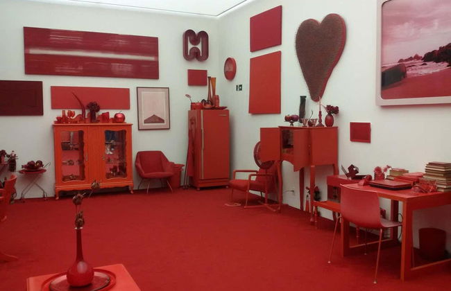 Excursión al Instituto Inhotim - Foto 4