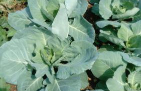 APARTMENTS ANA - Foto 67