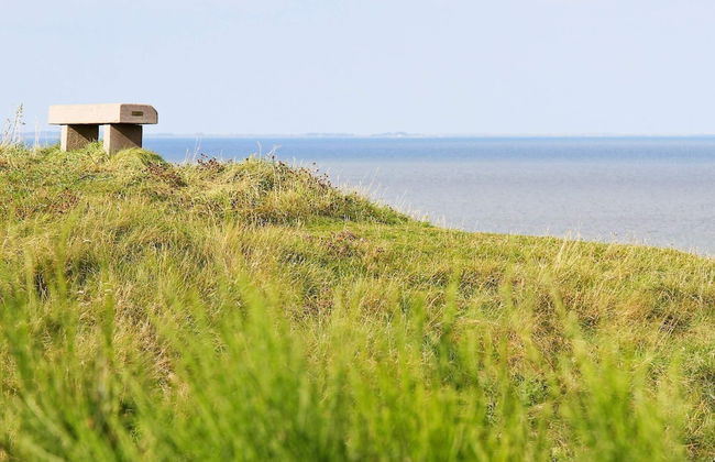 7 Person Holiday Home in Struer-by Traum - Foto 17