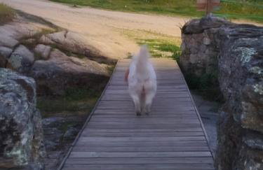 Tapada das Carvalhas - Foto 27