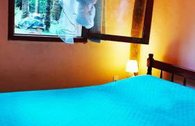 Casa das Araucárias - Sítio Salamandra, Vale do Matutu - Foto 7