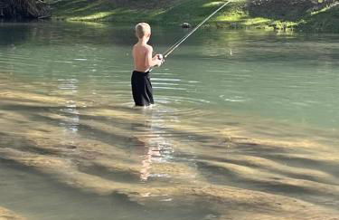 Daylight Den - Photo 20