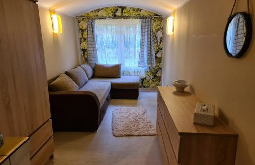 Leśny Zakątek Lipinki Bory Tucholskie - sauna - Foto 4