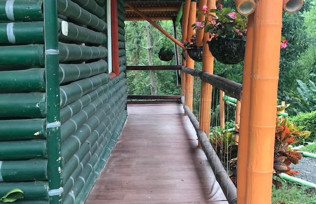 Ecocabañas Pereira - Foto 17