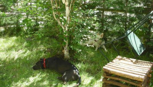 Apartment mit Bergblick by Interhome - Foto 4