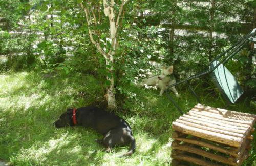 Apartment mit Bergblick by Interhome - Foto 4