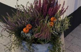 Country house - Foto 46