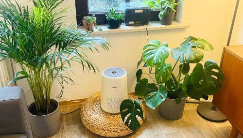 P6 - Familienwohnung am Park und Saale - Foto 5