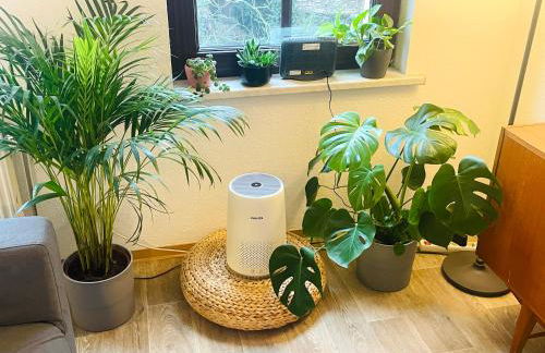 P6 - Familienwohnung am Park und Saale - Foto 5