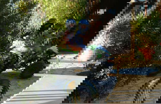 Tenute Margana - Foto 24