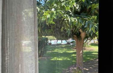 Location à Porto Vecchio - Foto 32