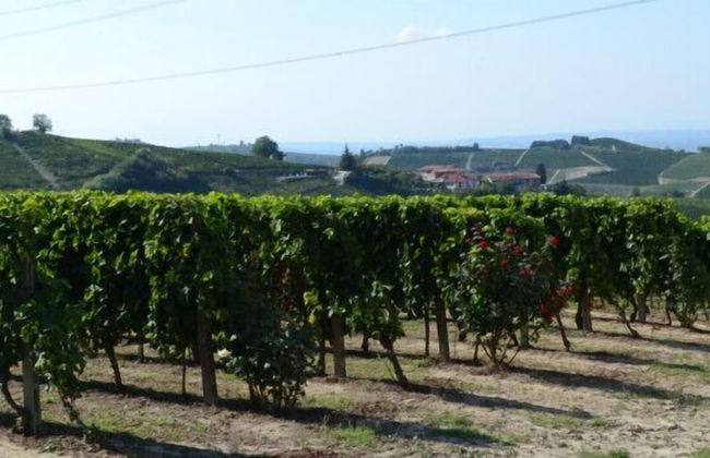 Agriturismo Cà Trinchè - Photo 25