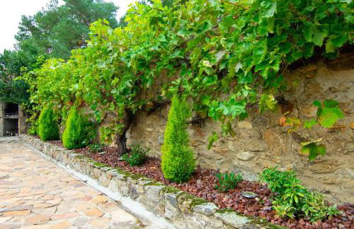 La Casita de las Hortensias - Photo 40