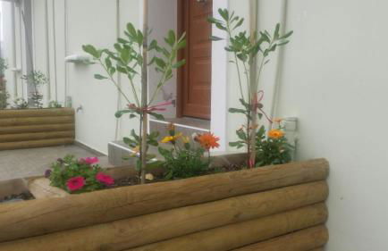 Elia Meronas - Photo 53