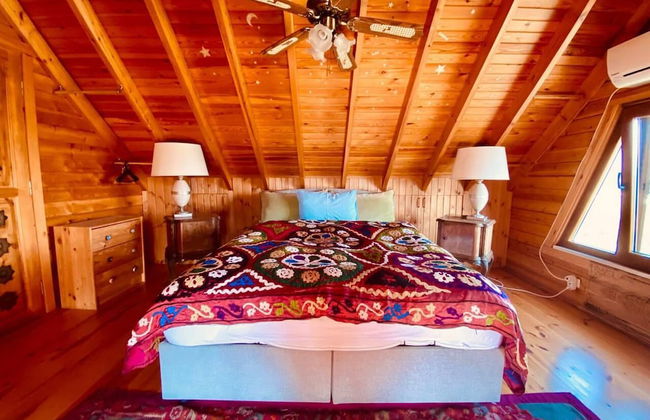 Artistic Villa With Private Pool, Bodrum, Turkey - Photo 2