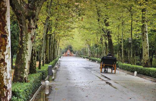 Apartamento Parque de María Luisa - Foto 18