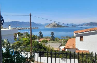 Αίγινα εξοχική κατοικία - Foto 39