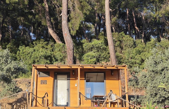 TİNY MİNİ HOUSE - Foto 2