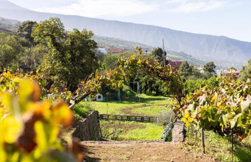 EK Drago Finca el Milagro - Foto 34