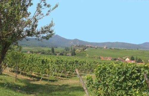 Gite des 5 cigognes rouge - Foto 17