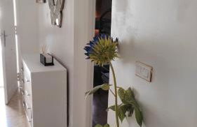 Casa Ocas 2 barbacoas y chimenea - Foto 31